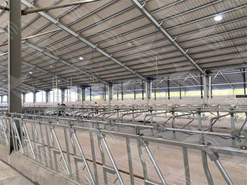 树脂瓦厂家教你：在恶劣环境条件下，用什么屋面瓦安全又可靠？